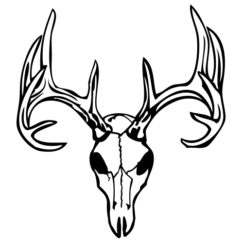 Deer Skull 1 - Click Image to Close