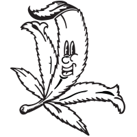 Cartoon Pot Leaf