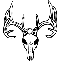 Deer Skull 1